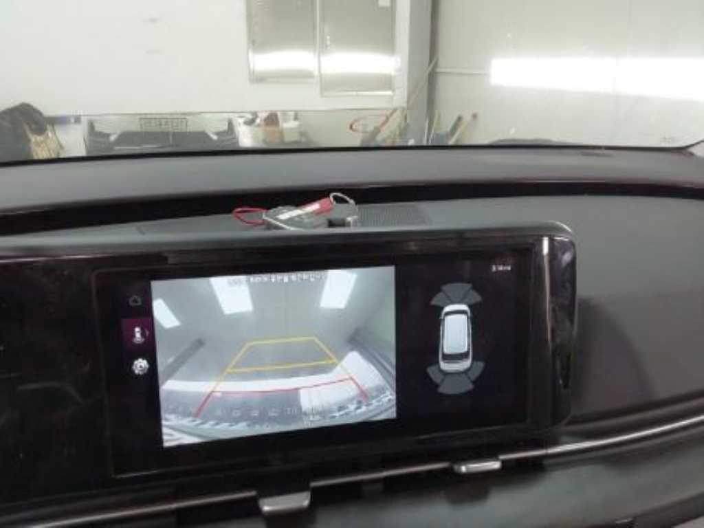 KIA Carnival - Vista 6