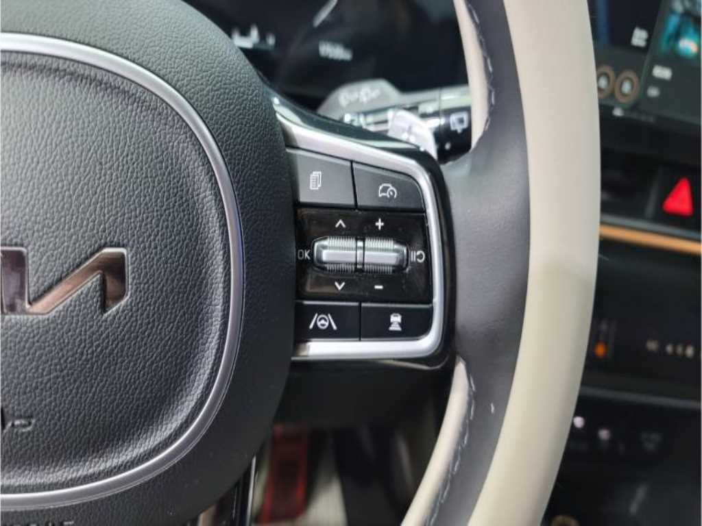 KIA Carnival - Vista 11