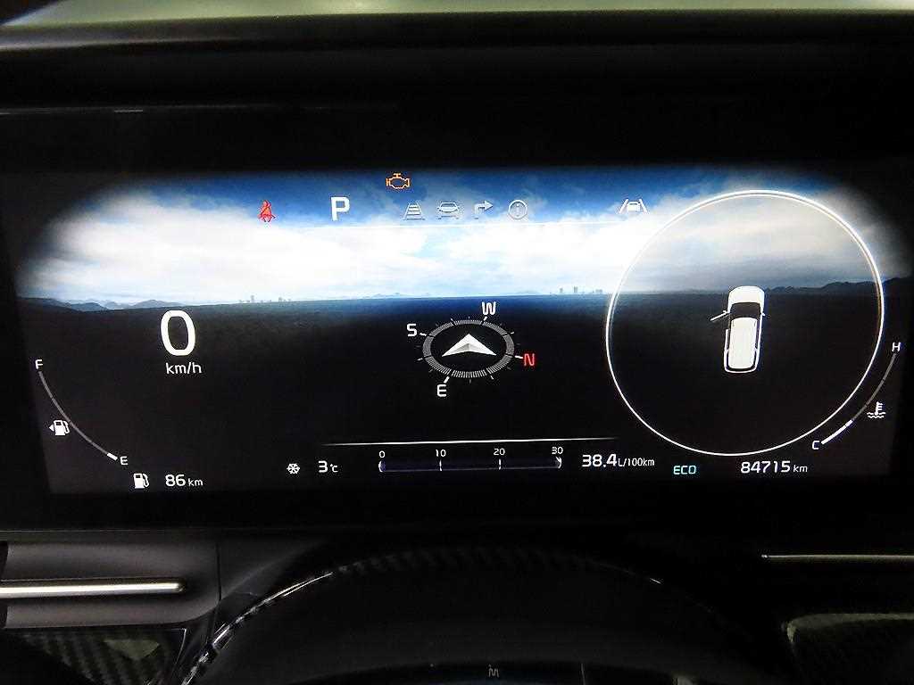 KIA Carnival - Vista 9