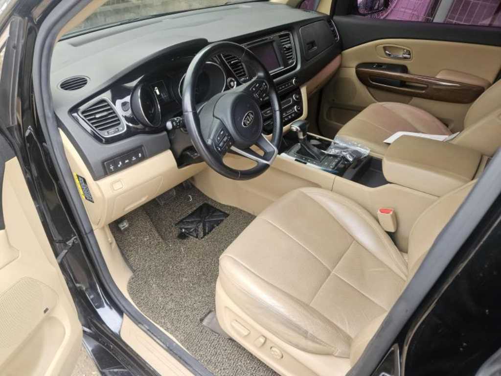 KIA Carnival - Vista 6