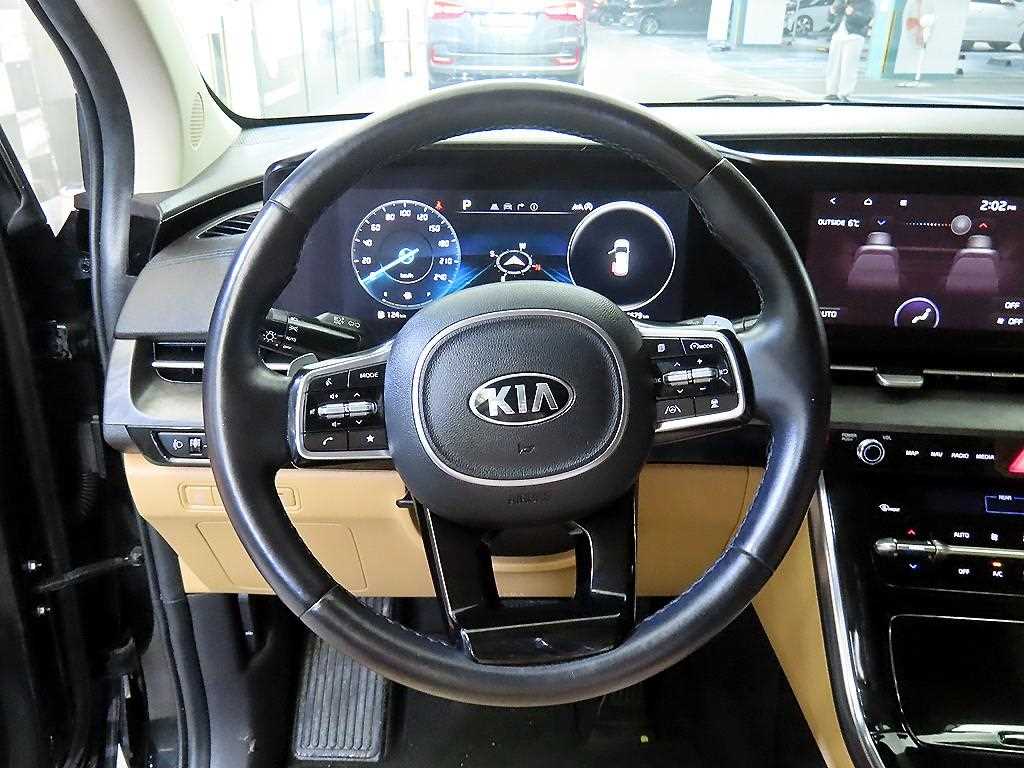 KIA Carnival - Vista 8
