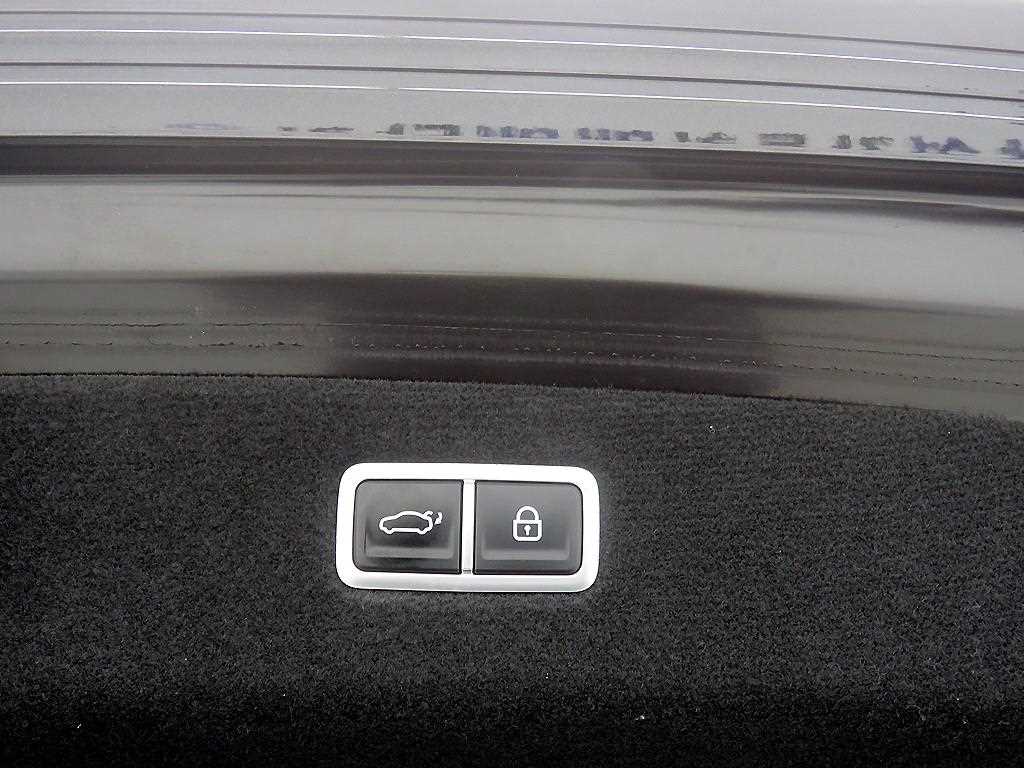 Genesis G90 - Vista 5