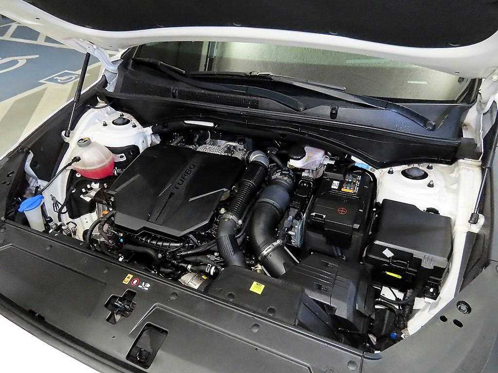 HYUNDAI Santa Fe 2023 Blanco - Importación desde Corea - HF Imports Iquique - Foto 19