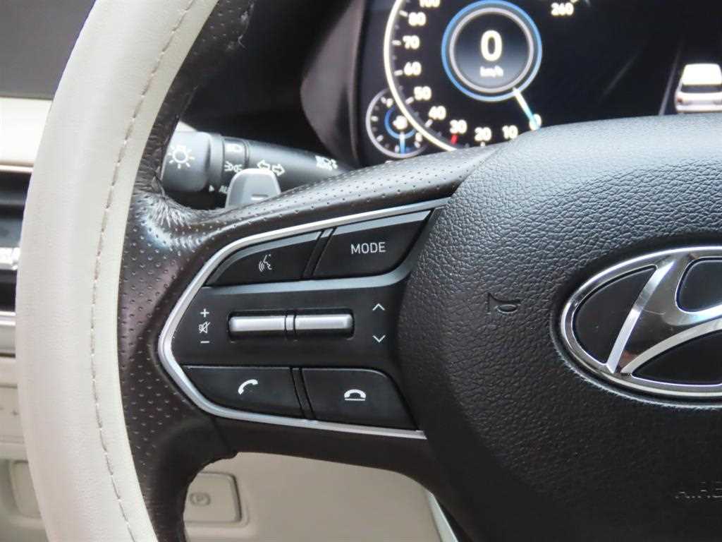 HYUNDAI Palisade - Vista 12