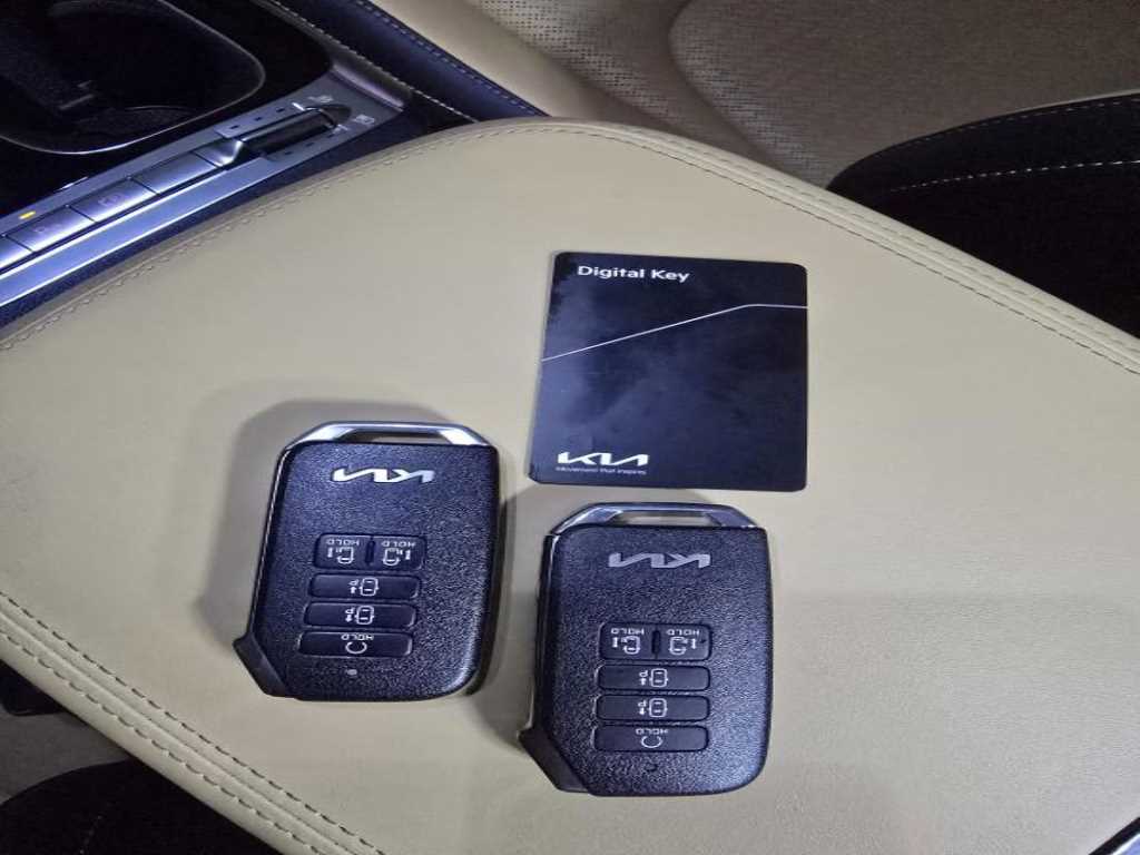 KIA Carnival - Vista 10