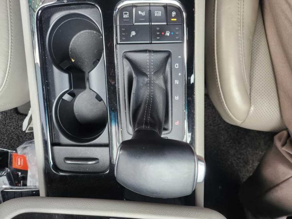 KIA Carnival - Vista 9