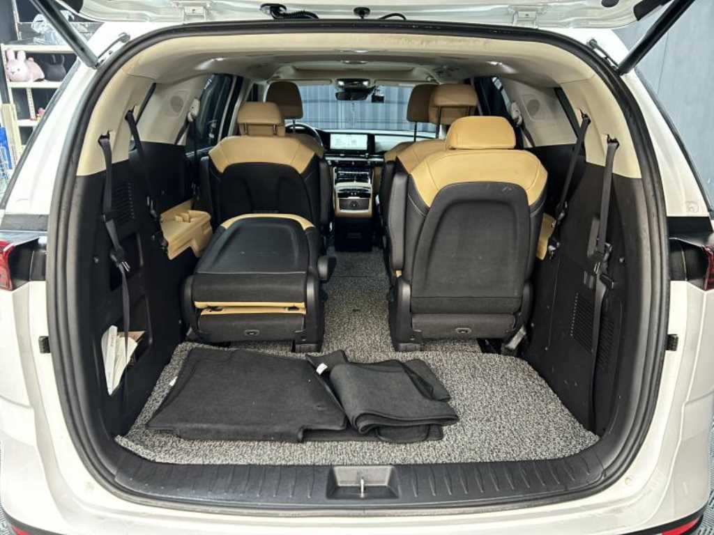 KIA Carnival - Vista 5