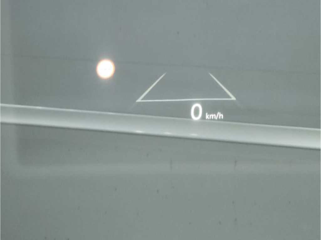 KIA Carnival - Vista 9