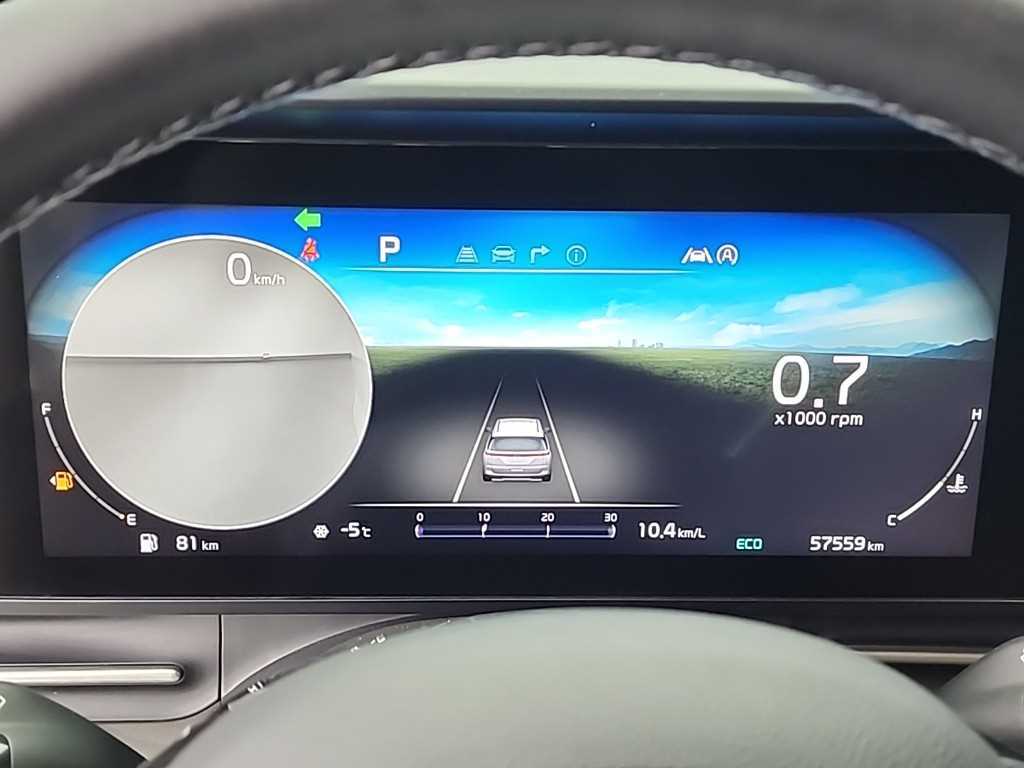 KIA Carnival - Vista 6