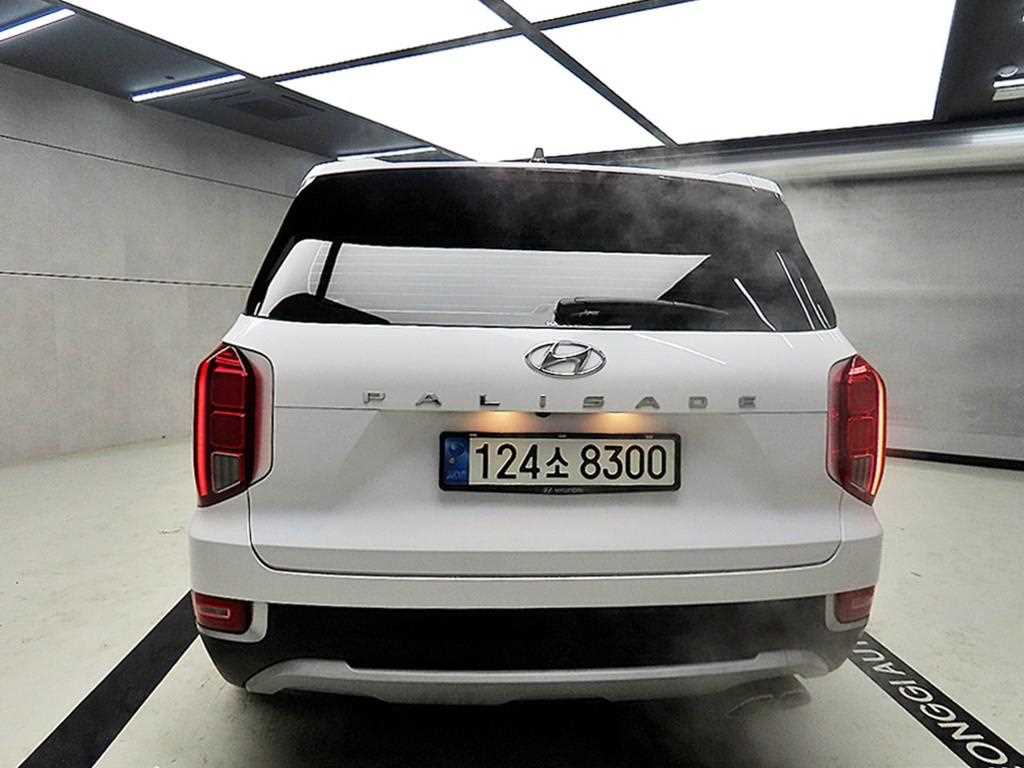 HYUNDAI Palisade - Vista 3