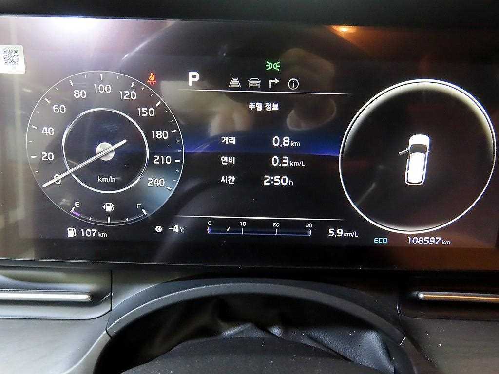 KIA Carnival - Vista 9