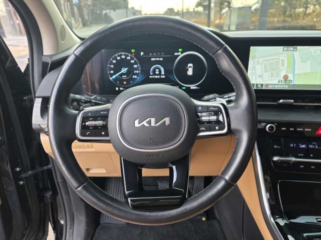 KIA Carnival - Vista 12
