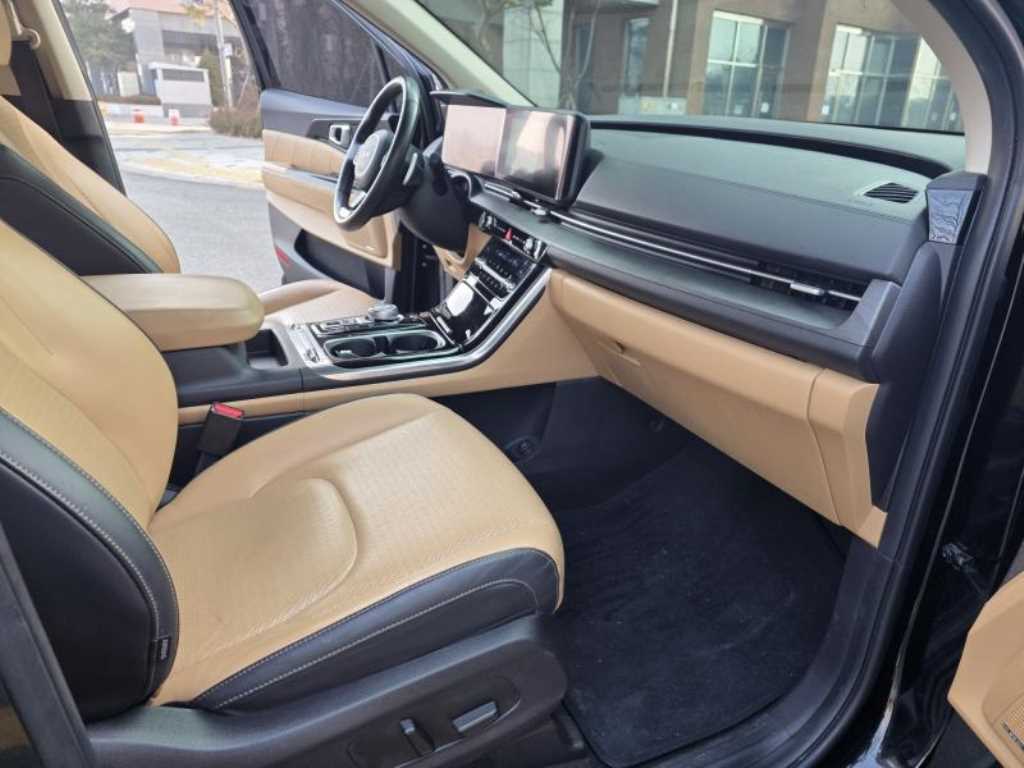 KIA Carnival - Vista 10