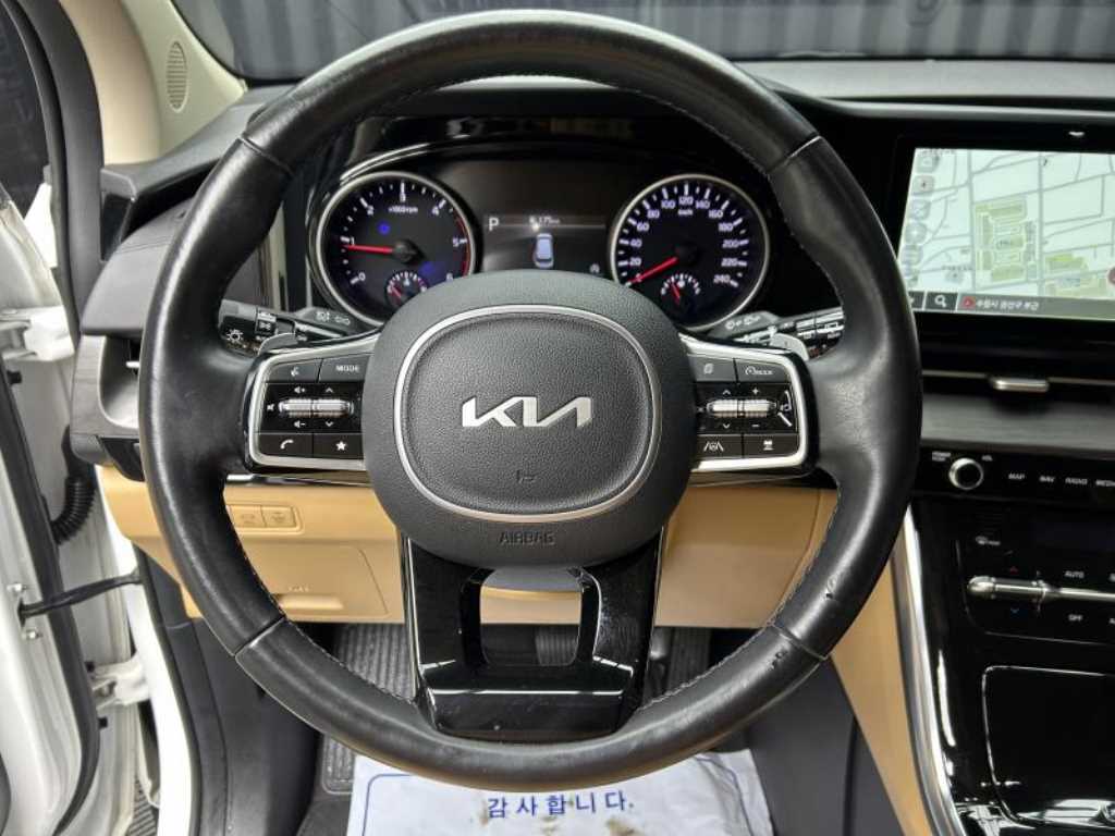 KIA Carnival - Vista 8