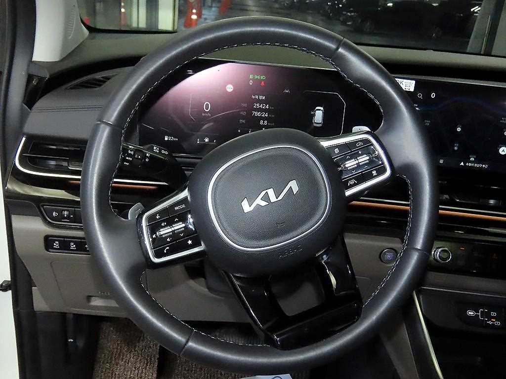 KIA Carnival - Vista 8