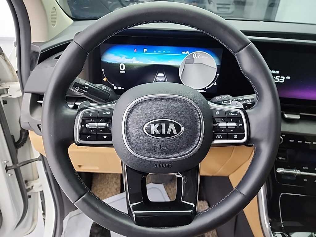 KIA Carnival - Vista 9