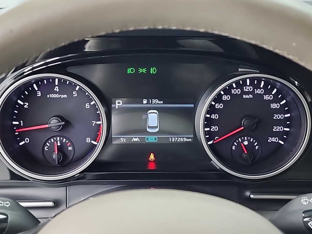 KIA Carnival - Vista 6