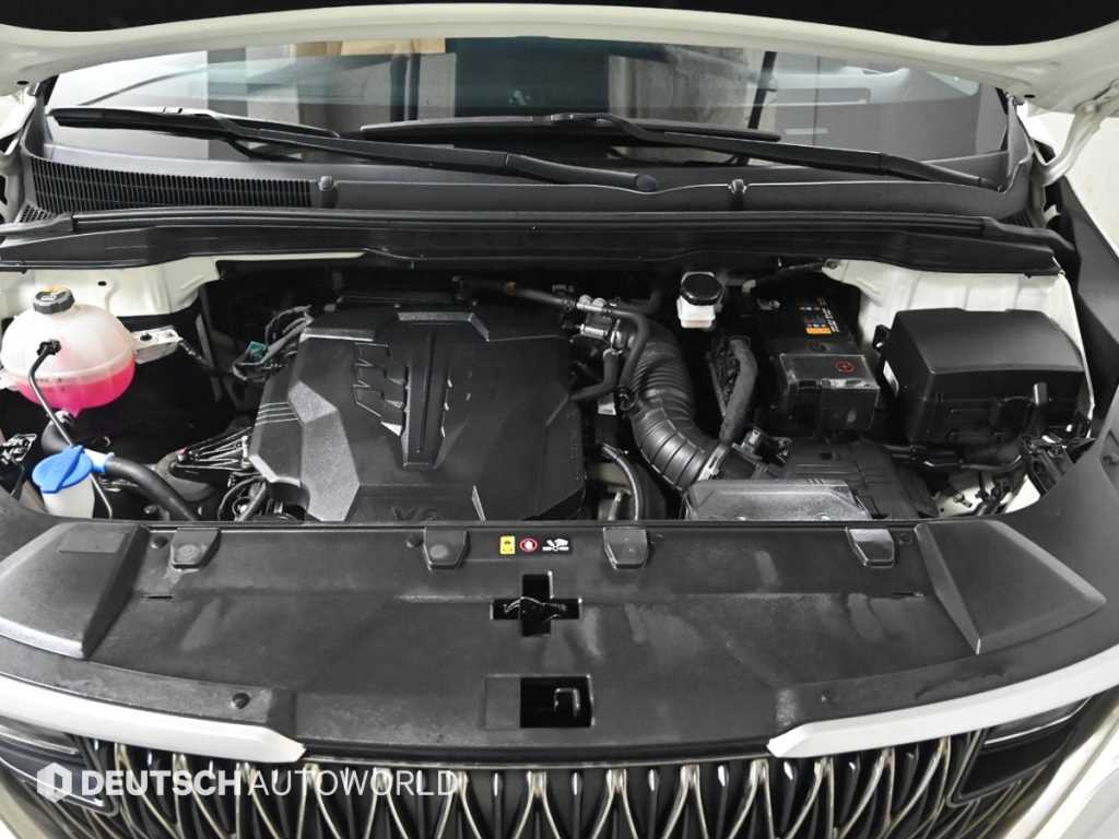 KIA Carnival - Vista 6