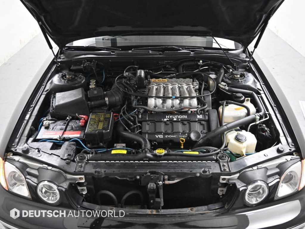 HYUNDAI Dynasty - Vista 6