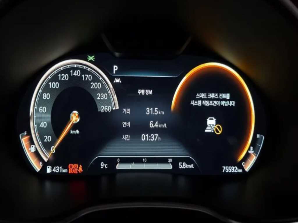 Genesis G80 - Vista 5