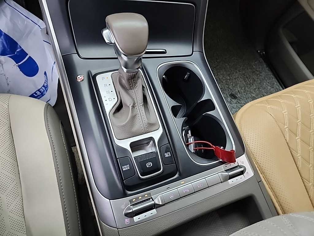 KIA Carnival - Vista 8