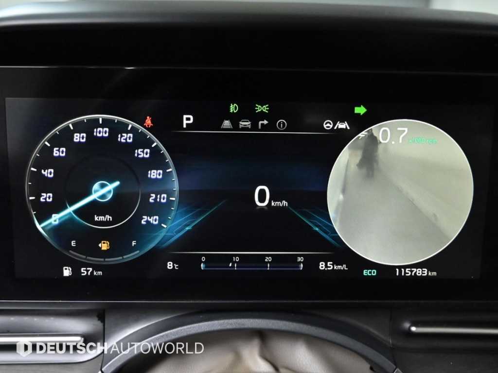 KIA Carnival - Vista 8