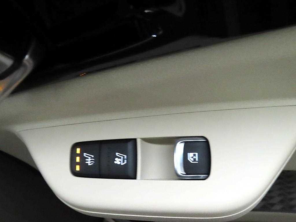 KIA Carnival - Vista 12