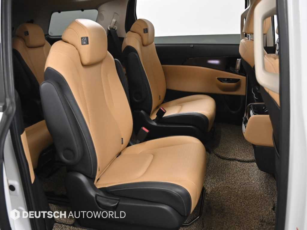 KIA Carnival - Vista 12