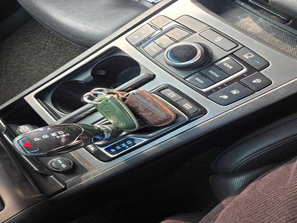 HYUNDAI Genesis - Vista 11