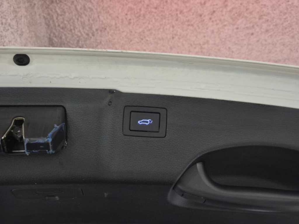 HYUNDAI Maxcruz - Vista 6