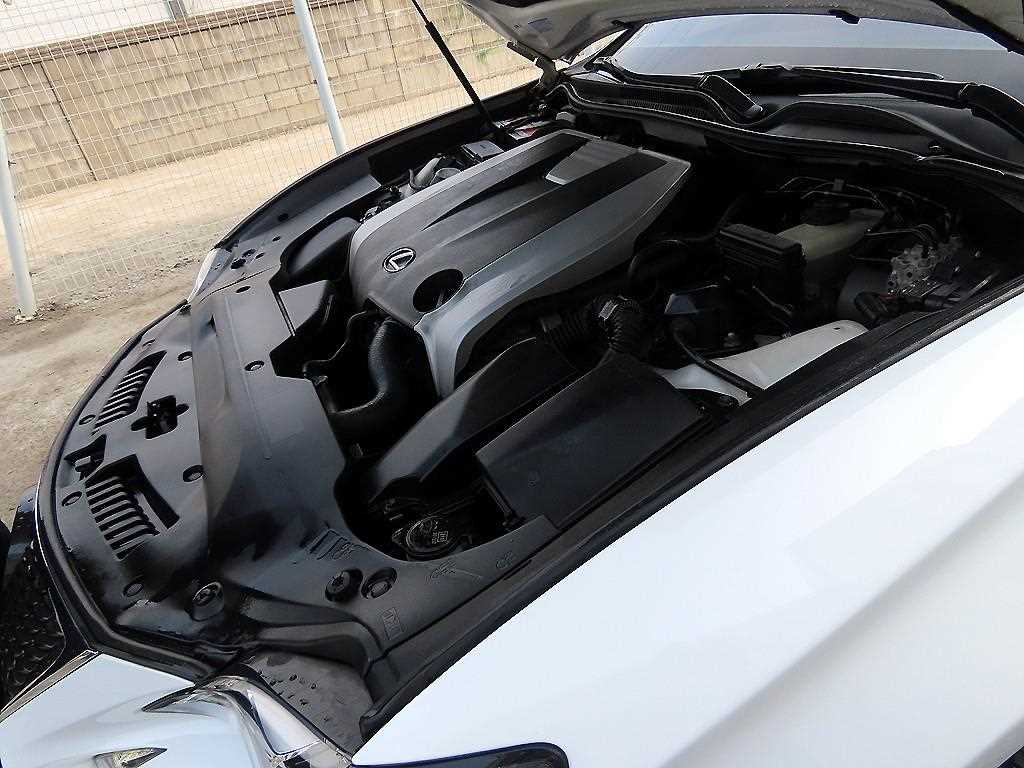 Lexus RC 2015 Blanco - Importación desde Corea - HF Imports Iquique - Foto 18