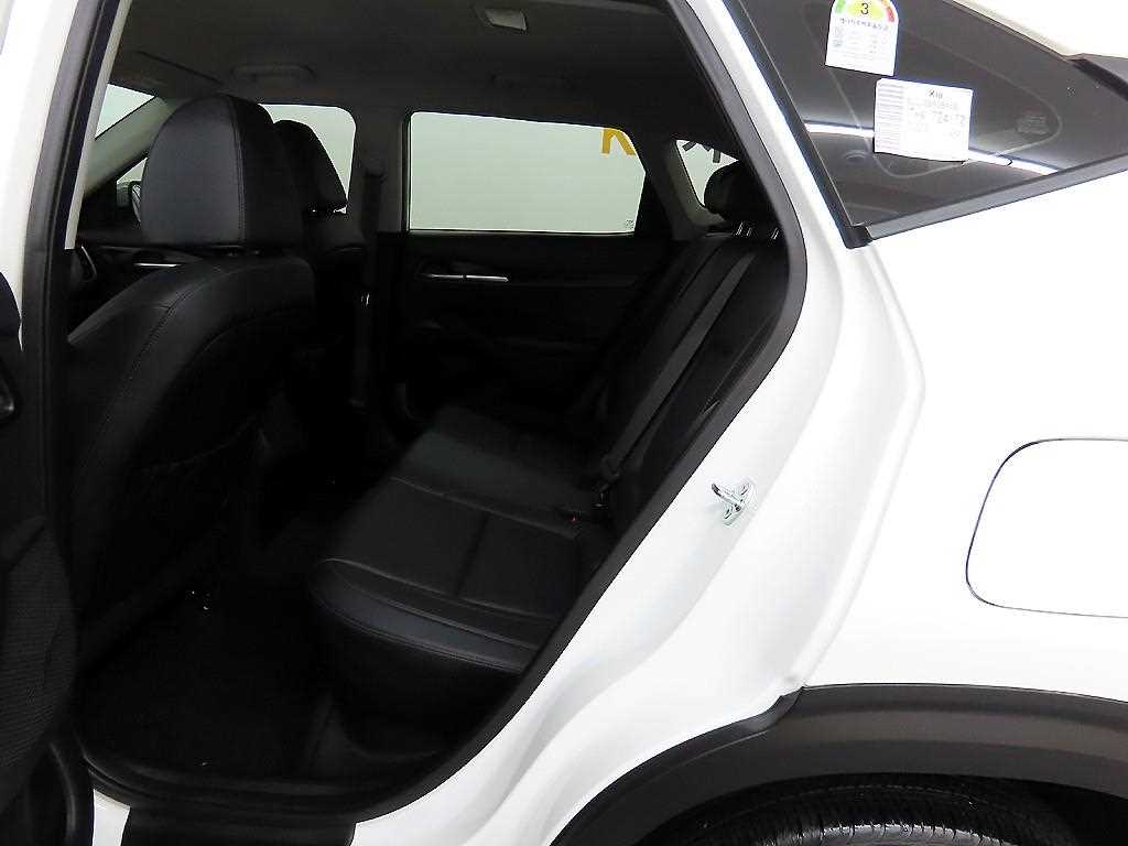 KIA Seltos - Vista 6