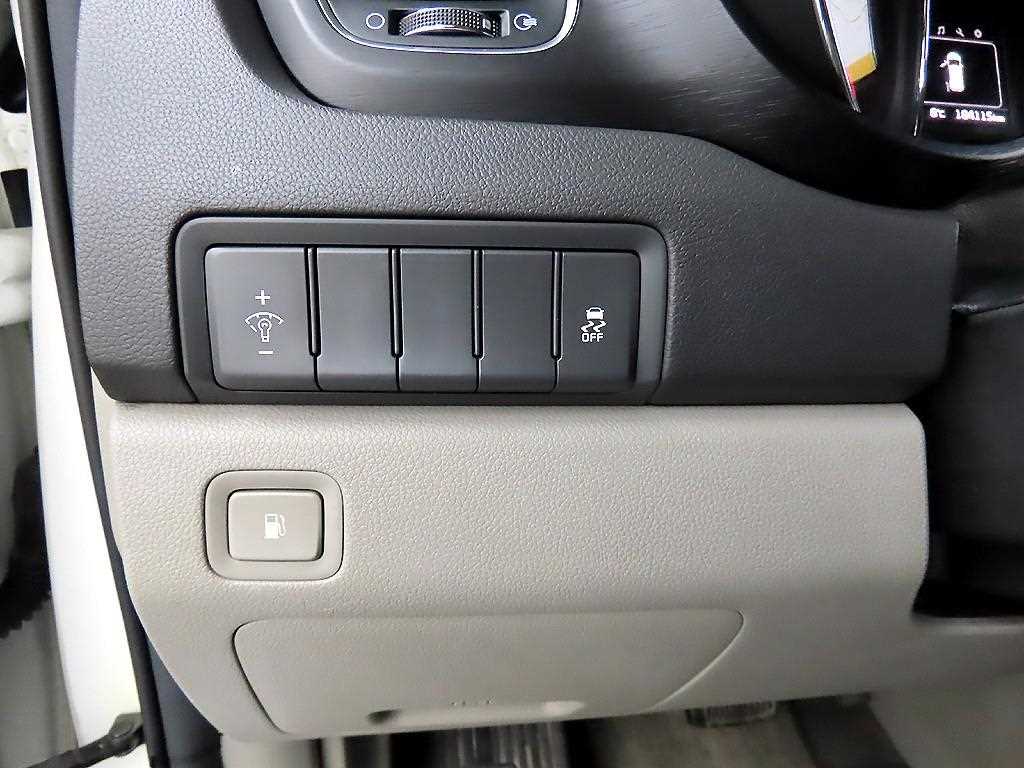 KIA Carnival - Vista 12