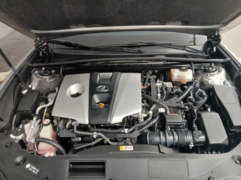 Lexus ES 2019 Gris - Importación desde Corea - HF Imports Iquique - Foto 19