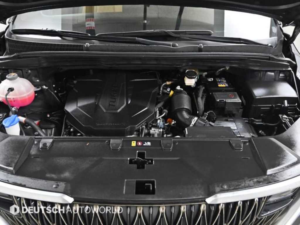 KIA Carnival - Vista 6