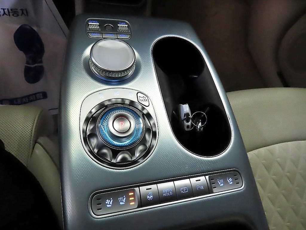 Genesis GV60 - Vista 12