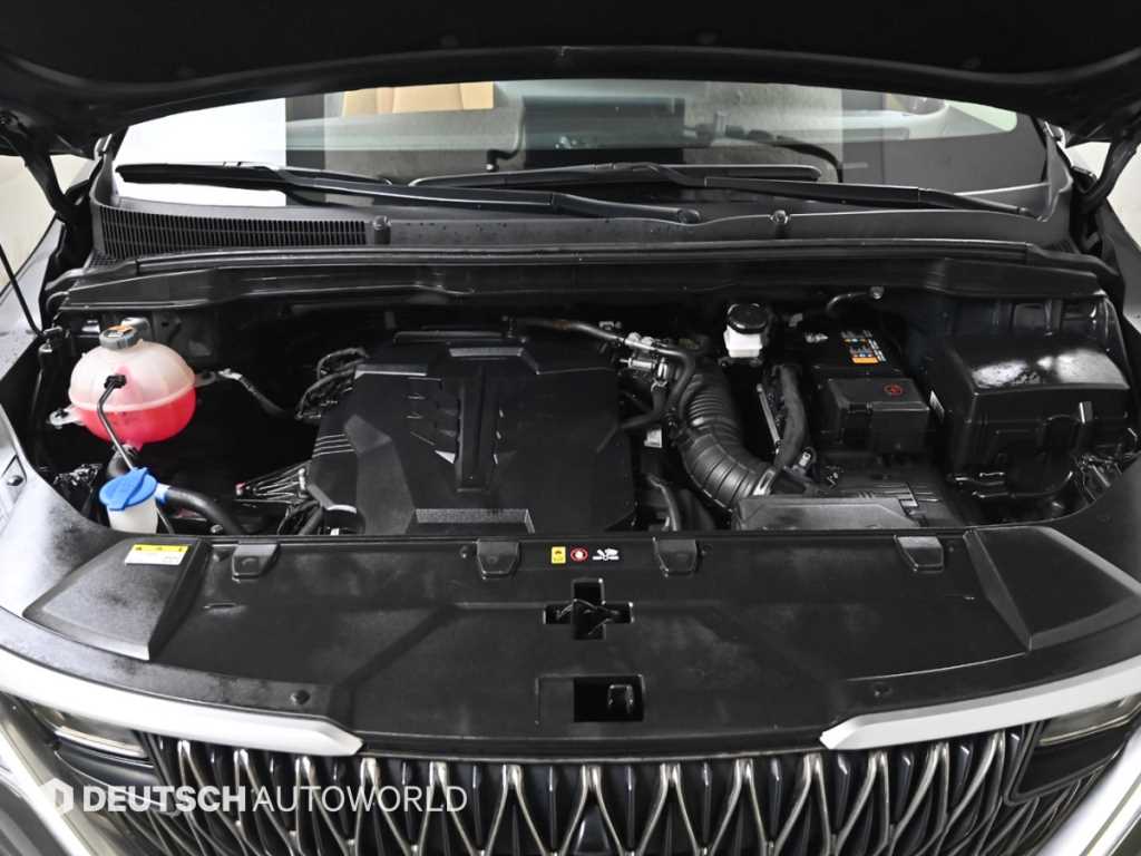 KIA Carnival - Vista 6