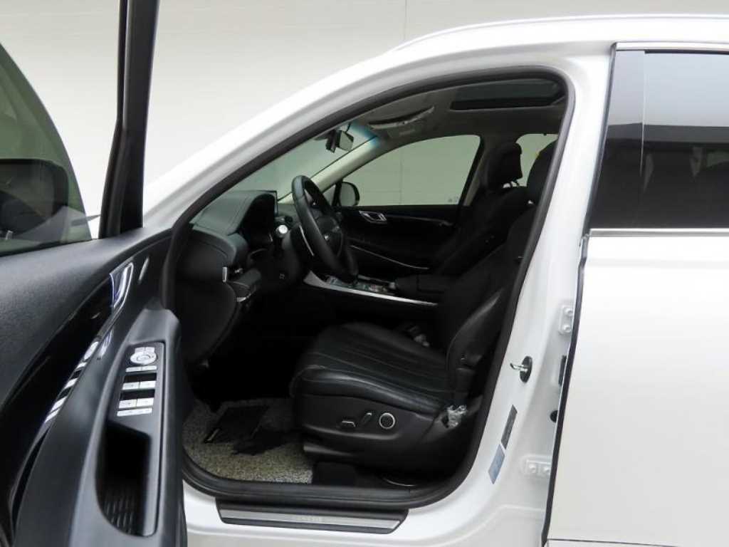 Genesis GV80 - Vista 12