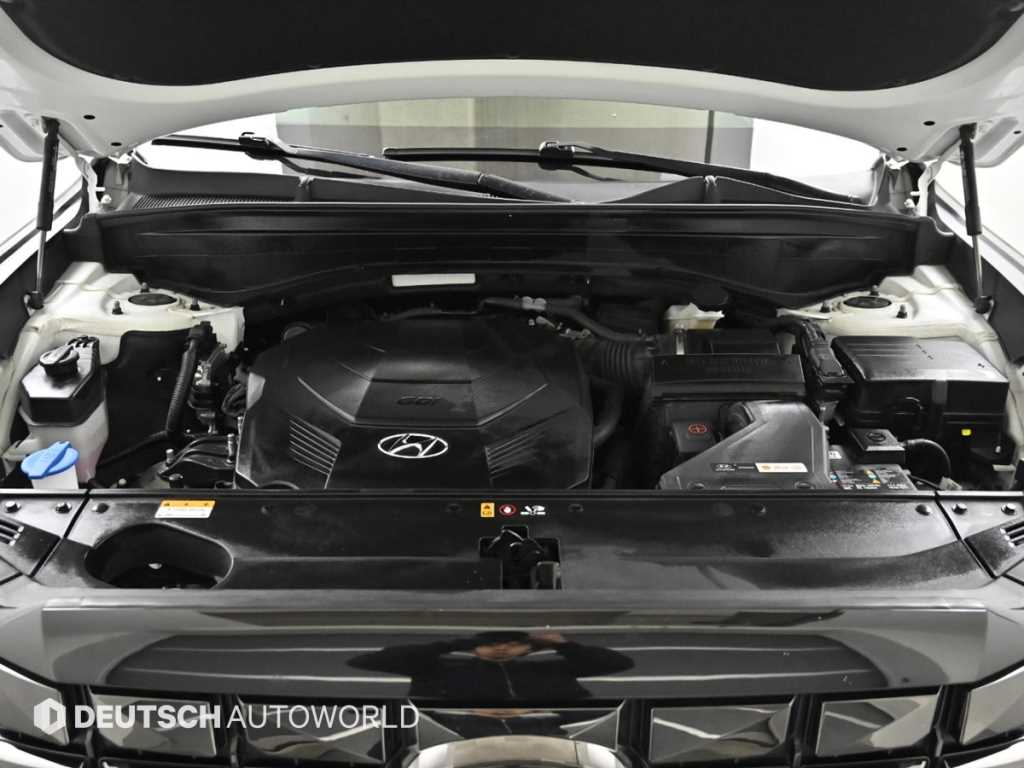 HYUNDAI Palisade - Vista 6