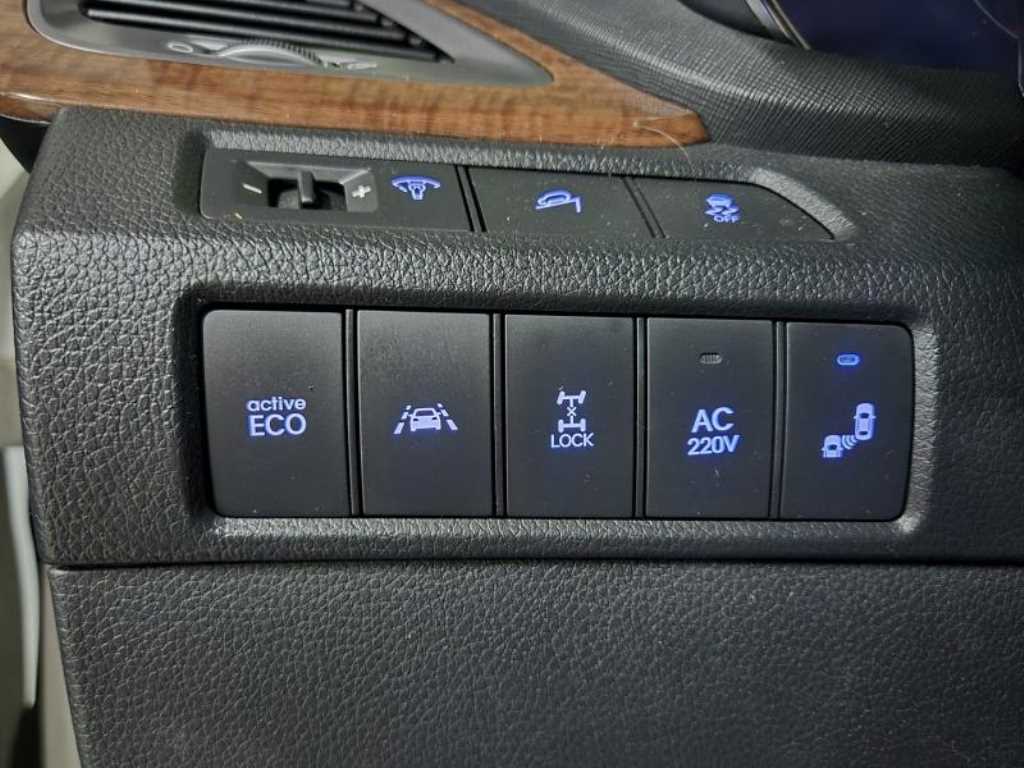 HYUNDAI Maxcruz - Vista 12