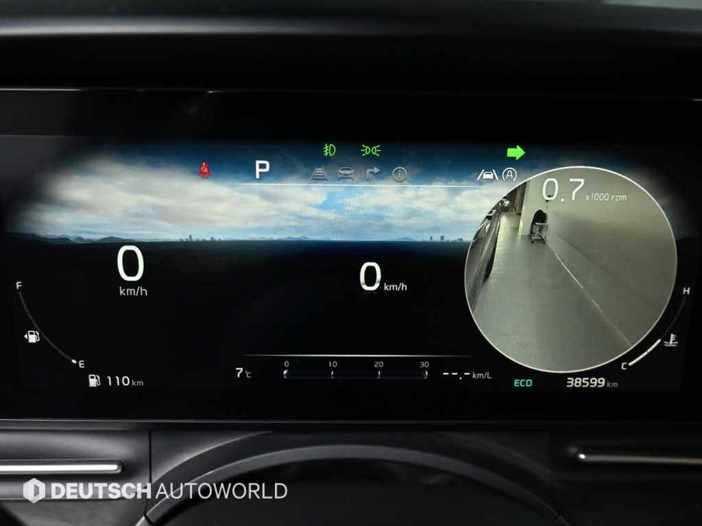 KIA Carnival - Vista 8