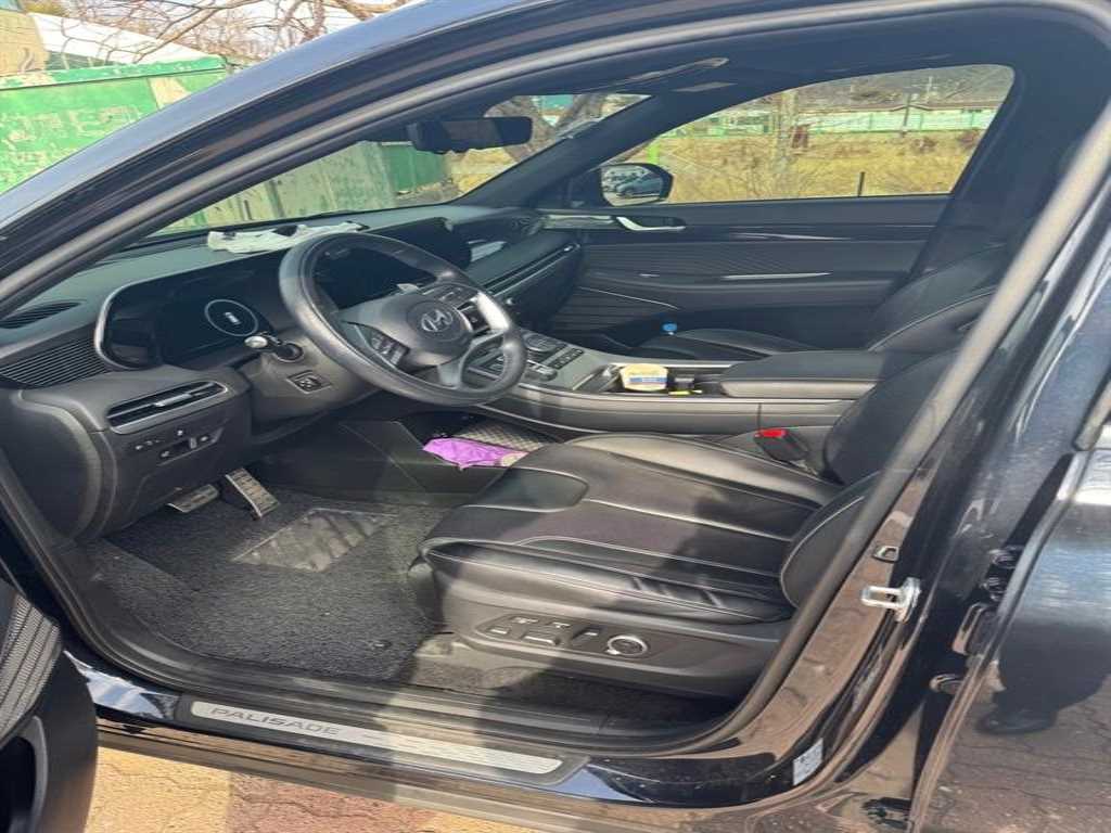 HYUNDAI Palisade - Vista 8