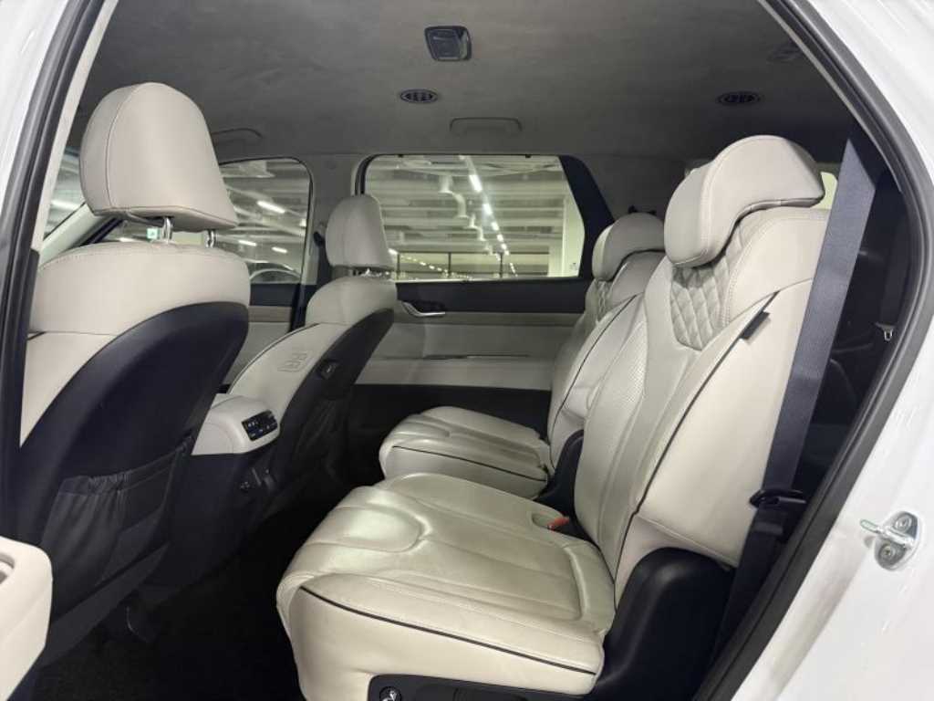 HYUNDAI Palisade - Vista 8