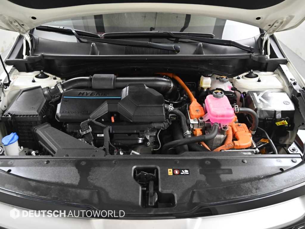 KIA Sportage - Vista 6