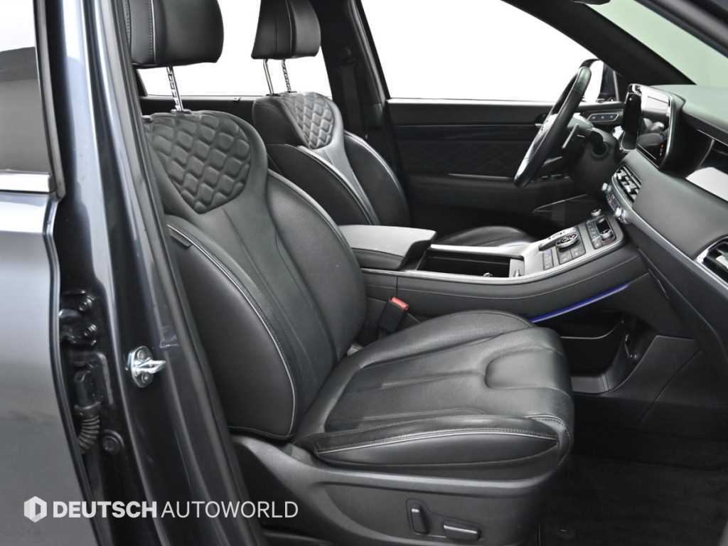 HYUNDAI Palisade - Vista 10