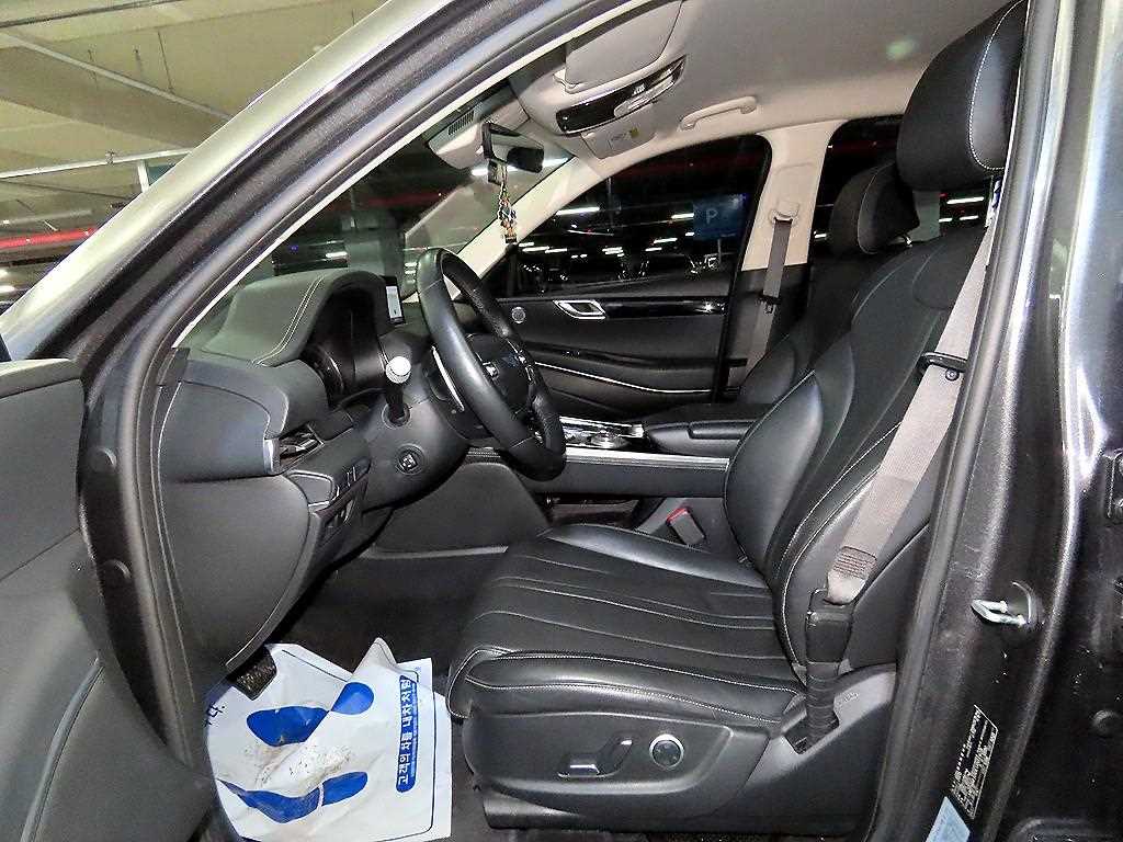 Genesis GV80 - Vista 6