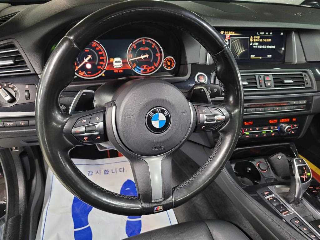 BMW 5 Series - Vista 9