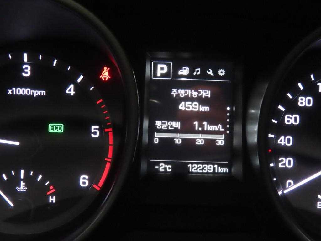 HYUNDAI Maxcruz - Vista 8