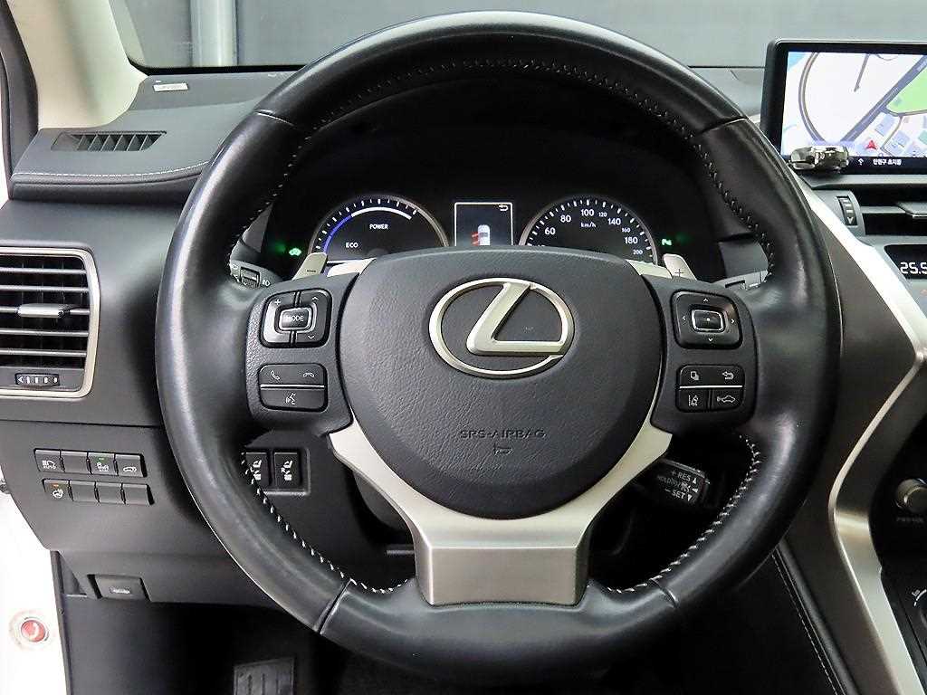 Lexus NX - Vista 9