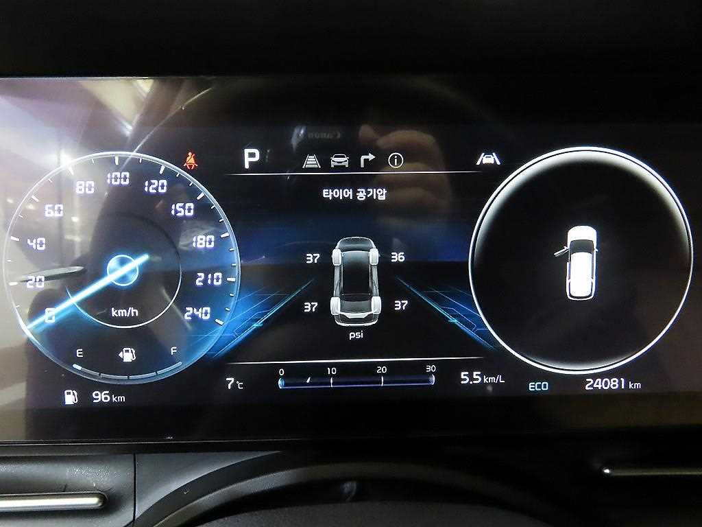 KIA Carnival - Vista 9